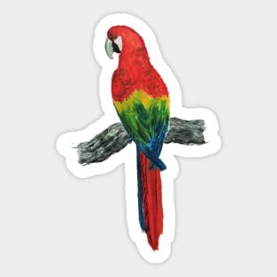 Tropical Parrot! Sticker